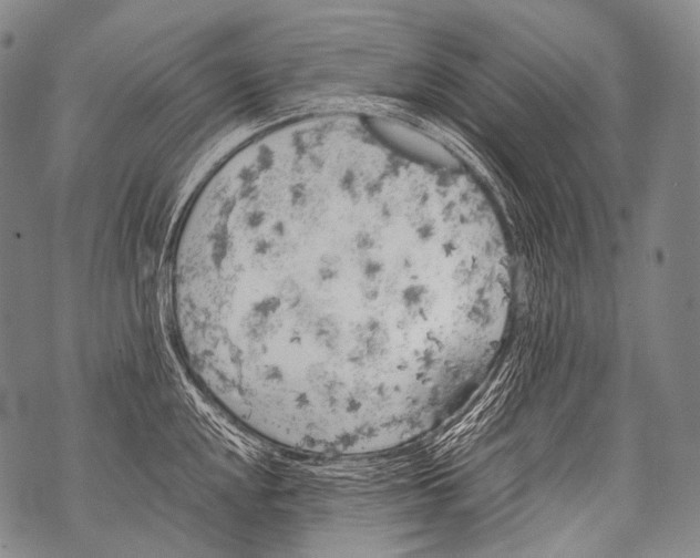 X0000071841048200607290103