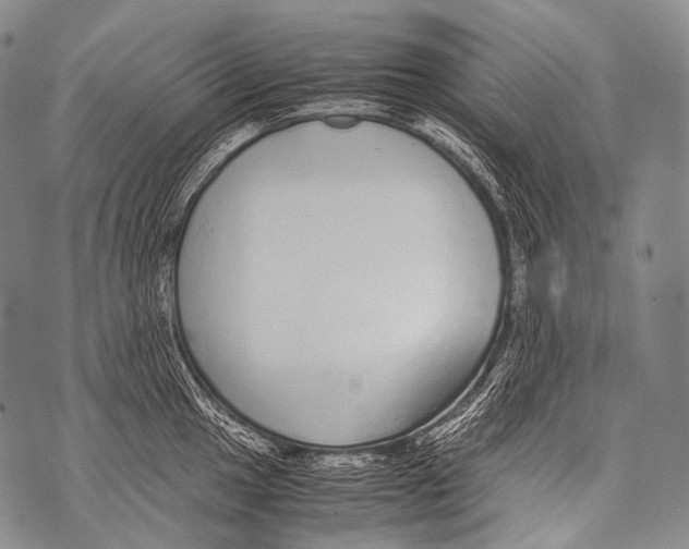 X0000071841049200607290103