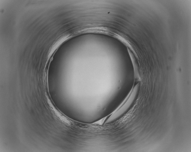 X0000071841050200607290103