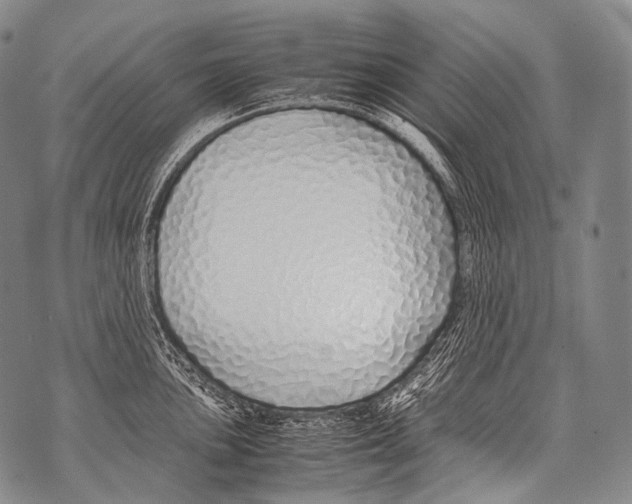 X0000071841051200607290103