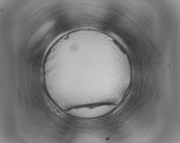 X0000071841052200607290103