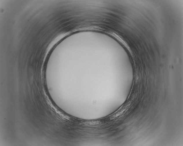 X0000071841053200607290103