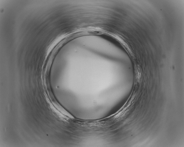 X0000071841054200607290103