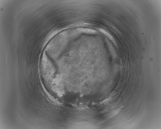 X0000071841055200607290103