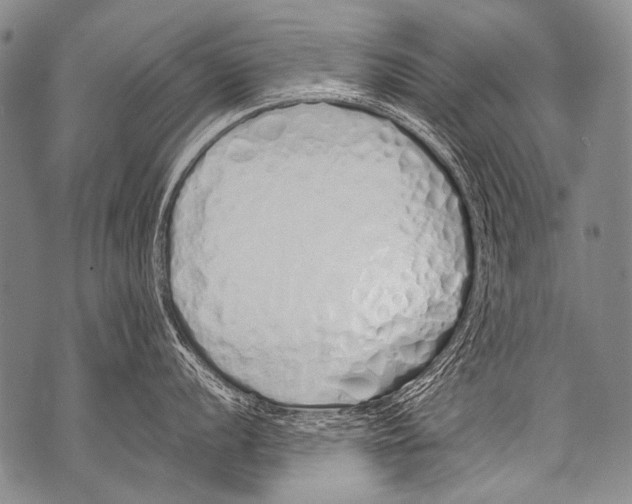 X0000071841056200607290103