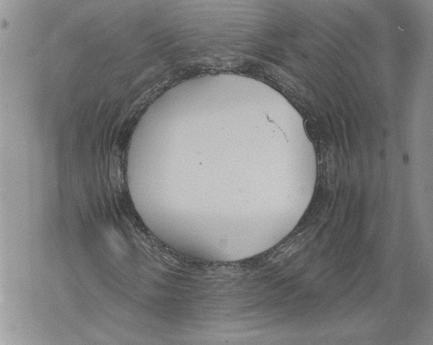 X0000071841058200607290102