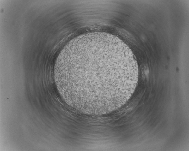 X0000071841060200607290102