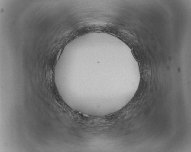 X0000071841061200607290102