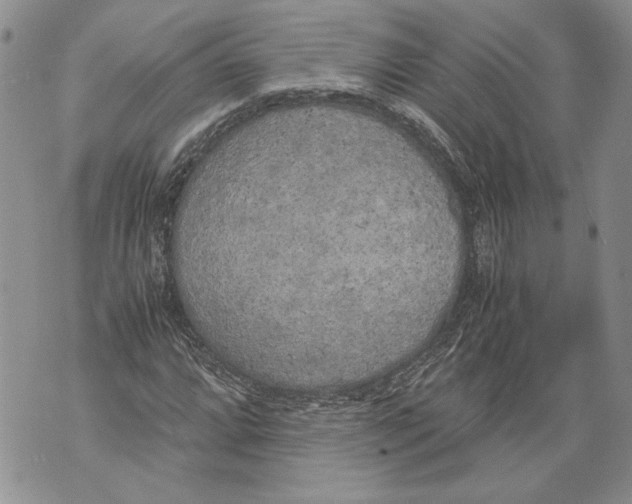 X0000071841064200607290102