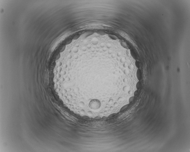 X0000071841067200607290102