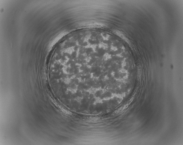 X0000071841071200607290102