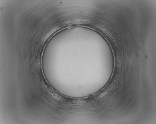 X0000071841073200607290102