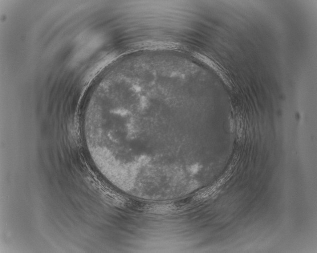 X0000071841074200607290102