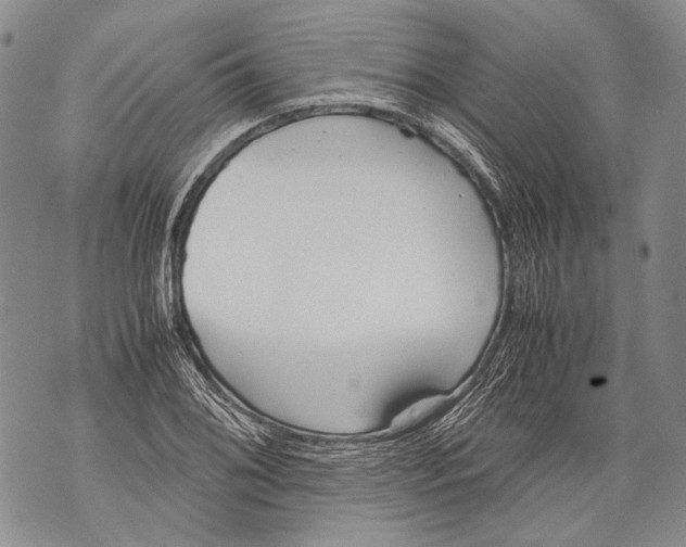 X0000071841076200607290102