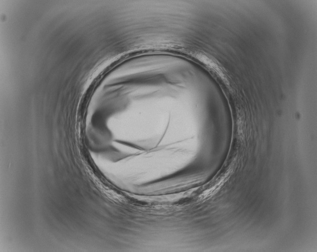 X0000071841077200607290102