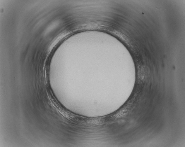 X0000071841078200607290102