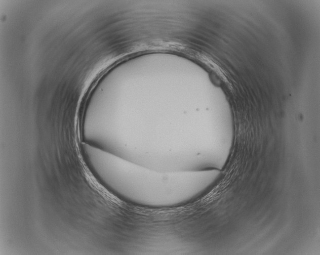 X0000071841080200607290102