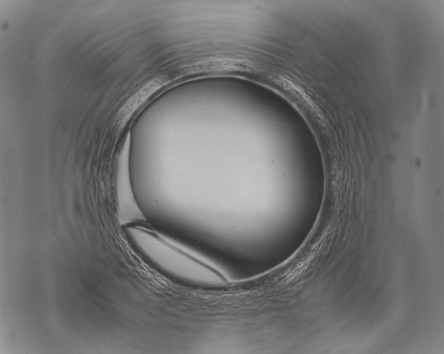 X0000071841081200607290101