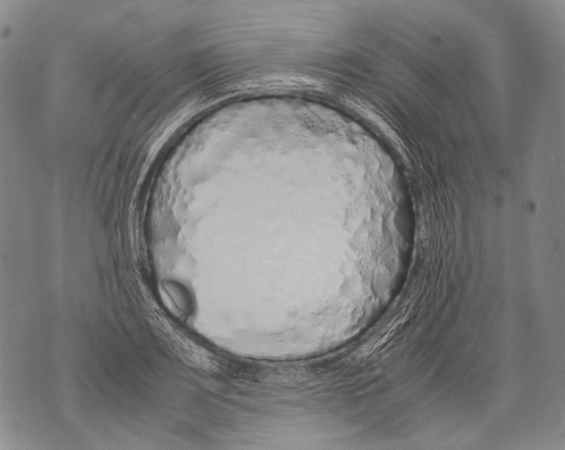 X0000071841083200607290101