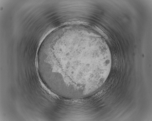 X0000071841084200607290101