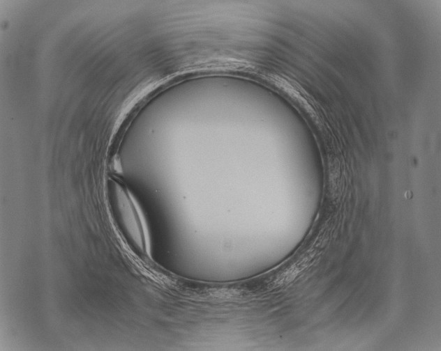 X0000071841085200607290101