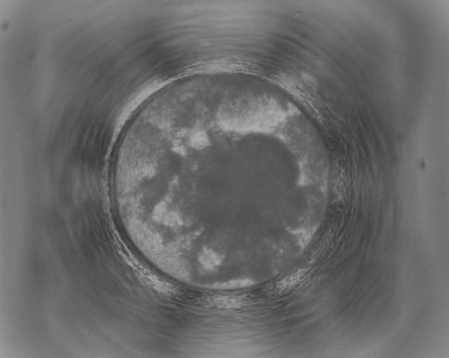 X0000071841086200607290101