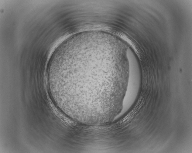 X0000071841088200607290101