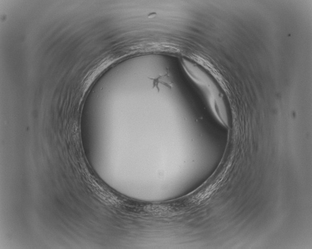 X0000071841089200607290101