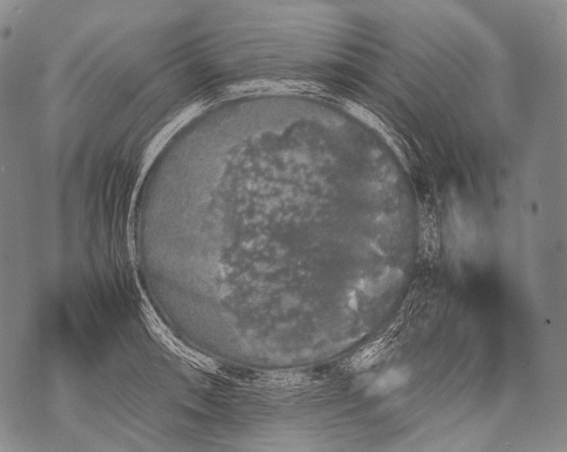 X0000071841090200607290101