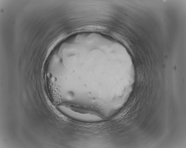 X0000071841091200607290101