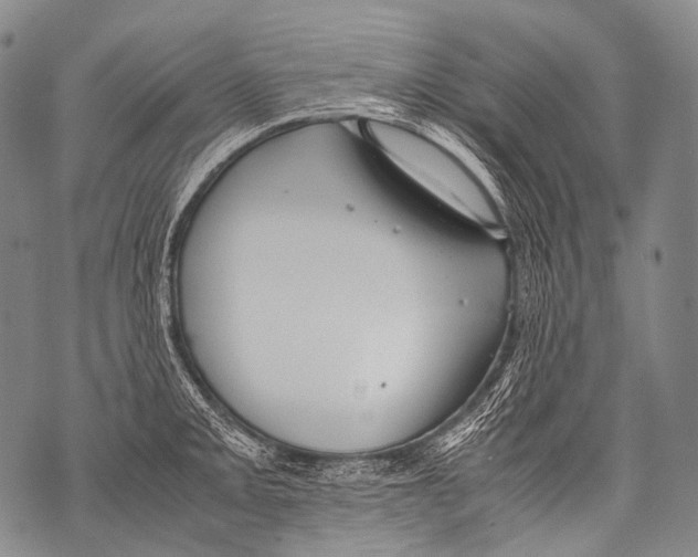 X0000071841093200607290101