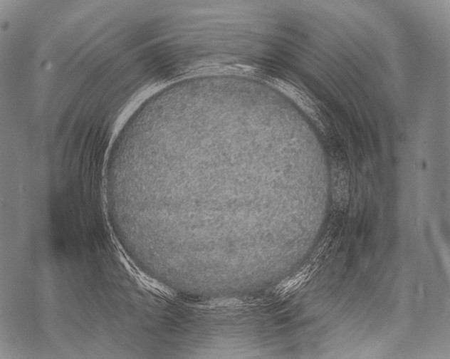 X0000071841094200607290101