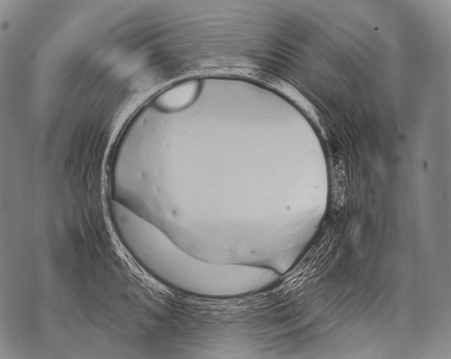 X0000071841096200607290101