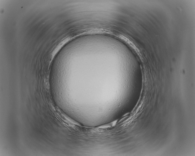 X0000071841097200607290101