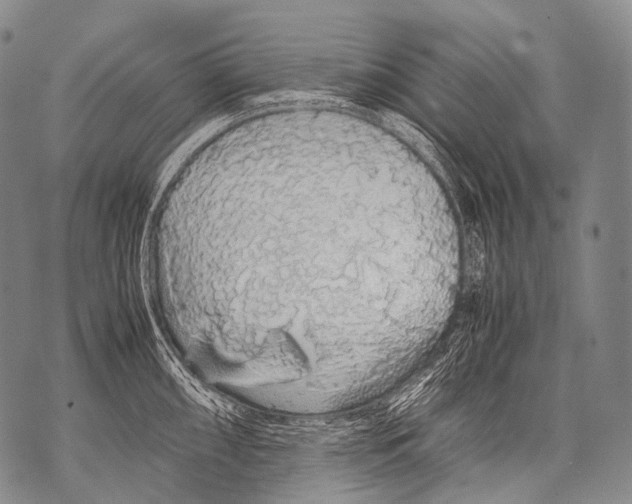 X0000071841098200607290101