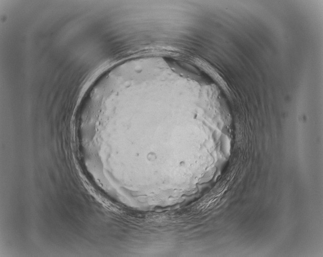 X0000071841099200607290101