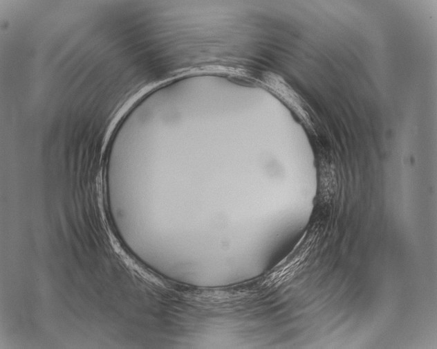 X0000071841100200607290101