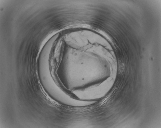 X0000071841102200607290101