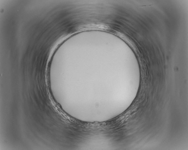 X0000071841104200607290101