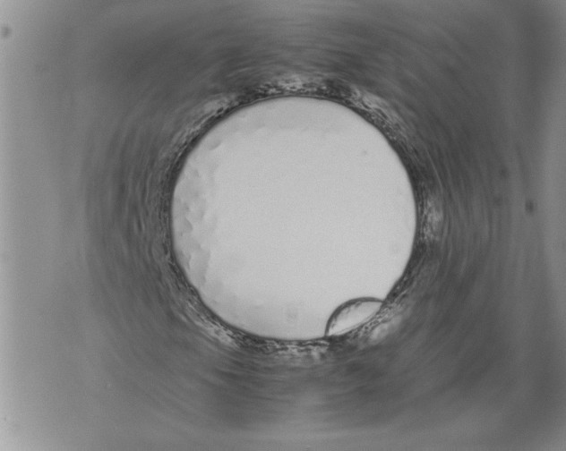 X0000071841105200607290100