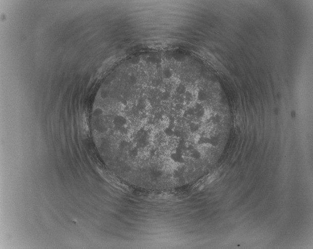 X0000071841106200607290100