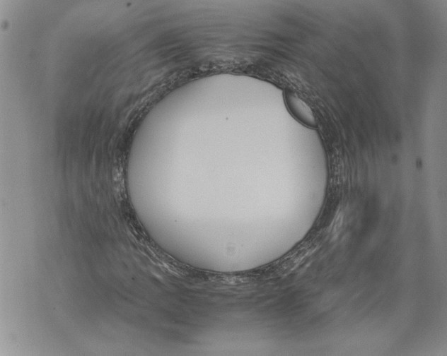 X0000071841109200607290100