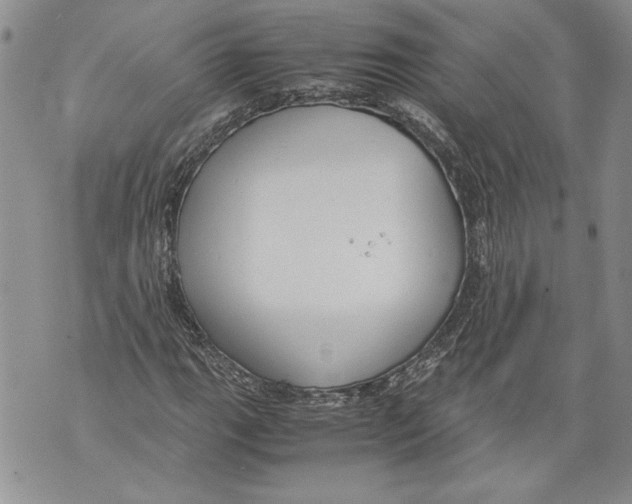 X0000071841111200607290100