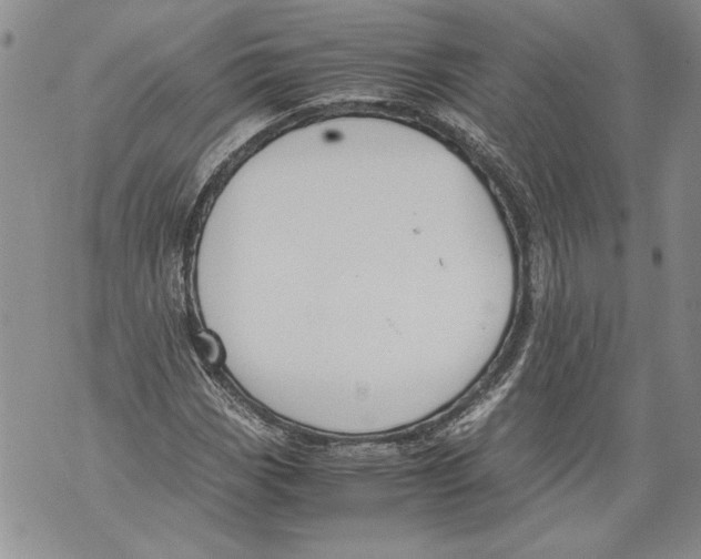 X0000071841113200607290100