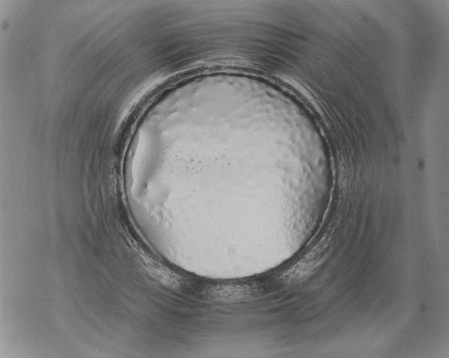 X0000071841115200607290101