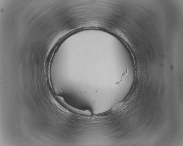 X0000071841116200607290101