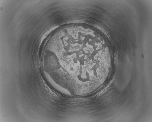 X0000071841117200607290101