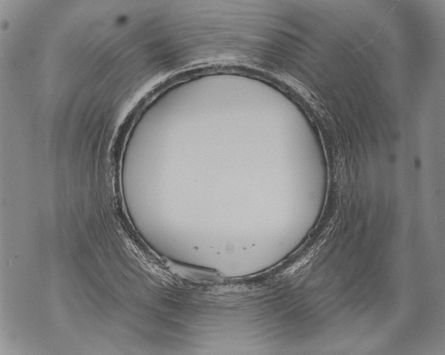 X0000071841118200607290101