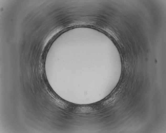 X0000071841119200607290101