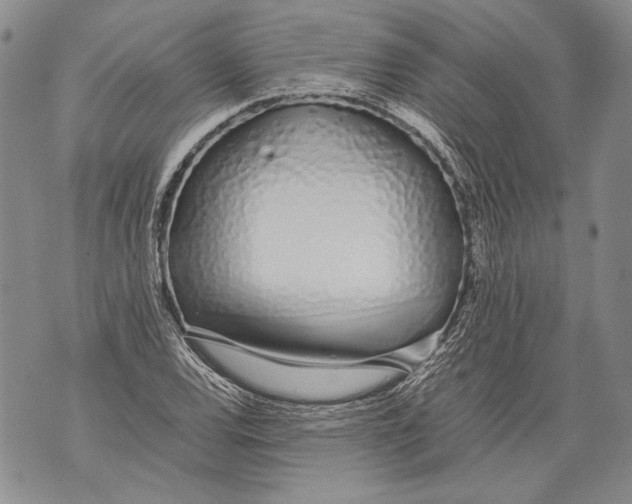 X0000071841120200607290101